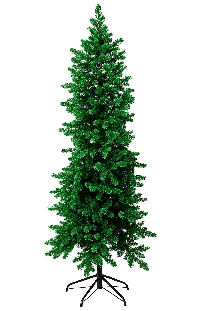 Tannenbaum "halb" hauptaufnahme