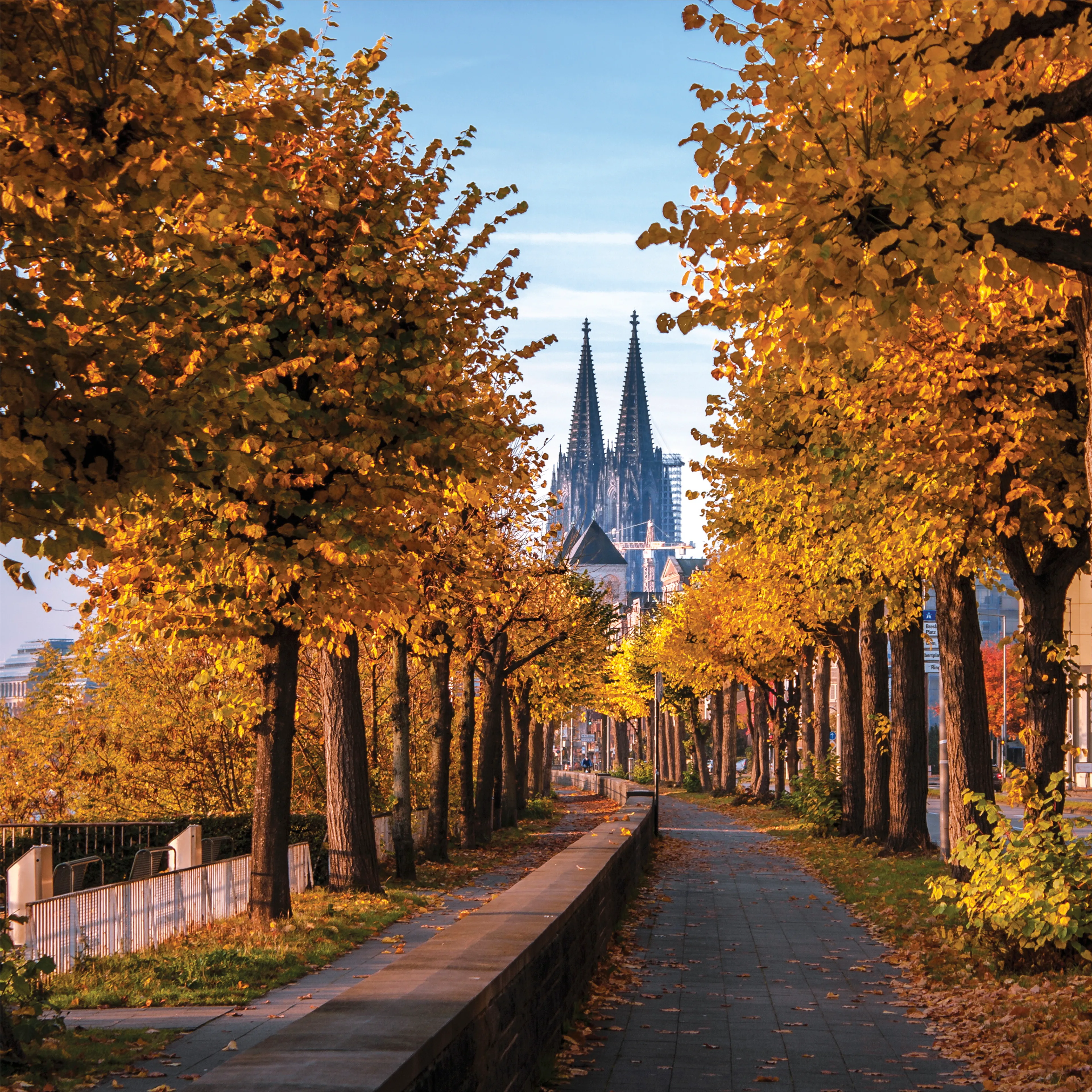 Glasbild 30 x 30 cm Kölner Dom IX