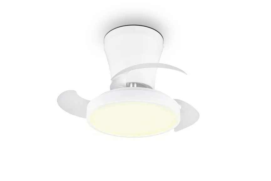 Ventilator "Moss" hauptaufnahme