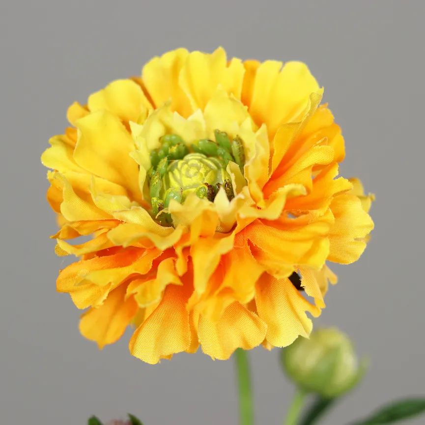 Ranunkel orange detail
