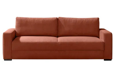 Schlafsofa