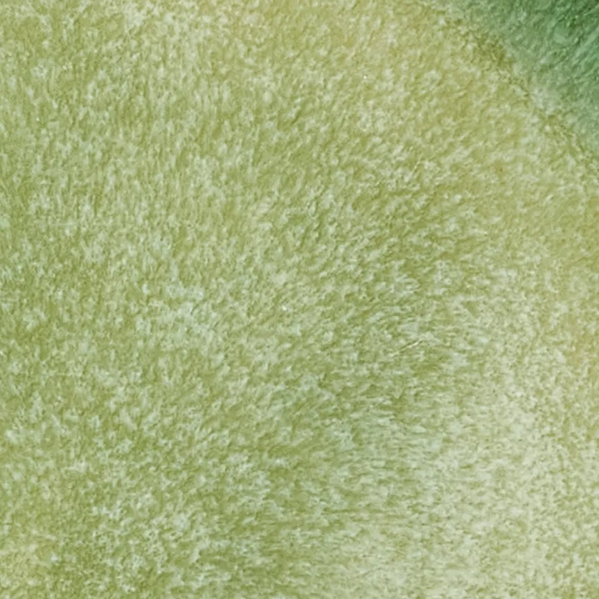 Suppenteller "Skog" material_farbe