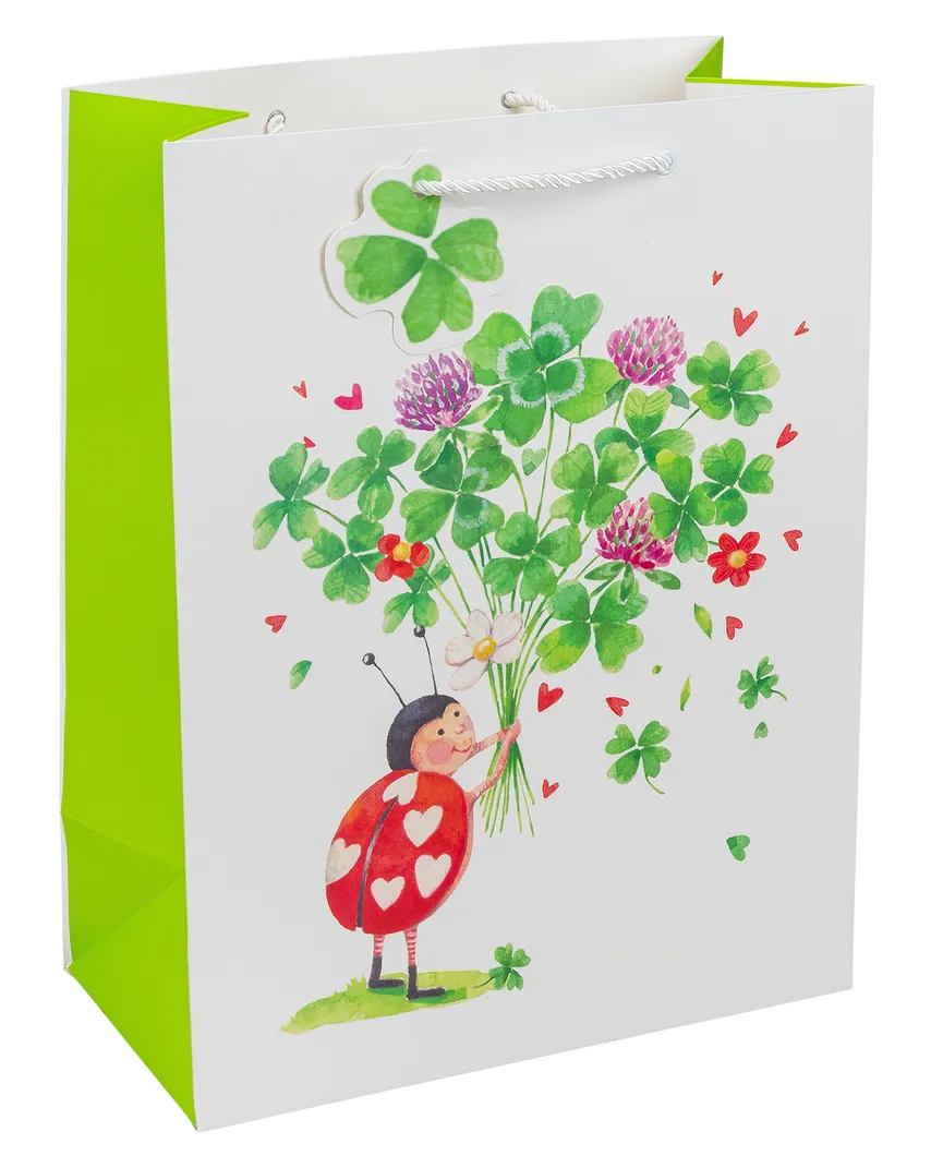 Geschenktasche "Viel Glück!" M hauptaufnahme