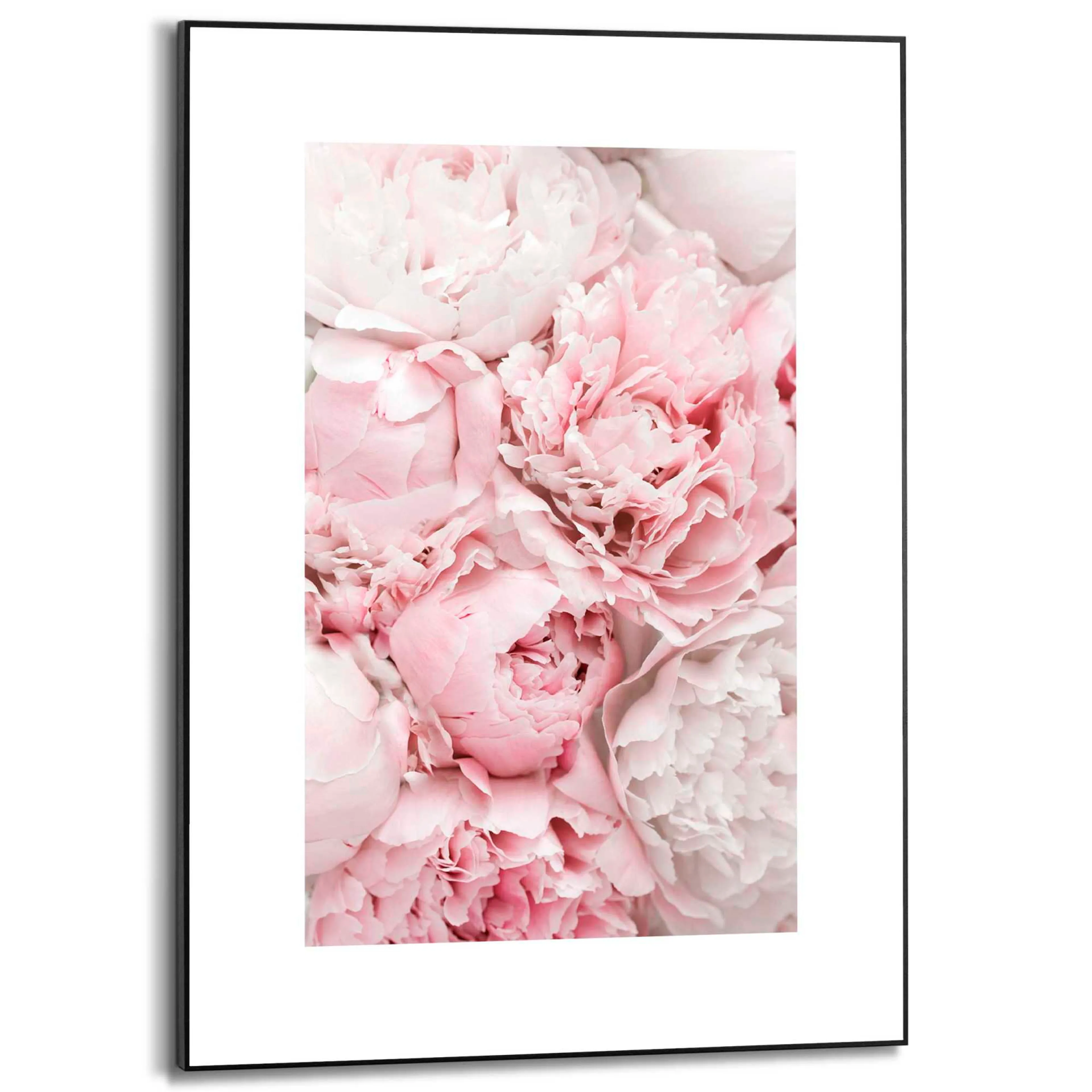 Wandbild 50 x 70 cm Peonies in Pink