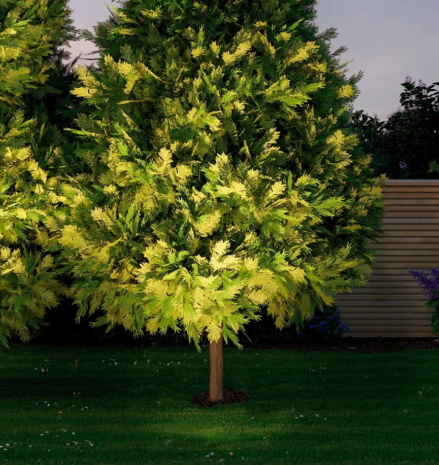 Plug&Shine Einzelspot milieu