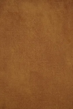 Amber material_farbe