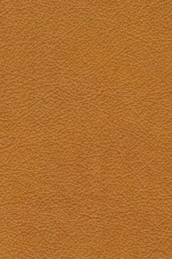 Curcuma material_farbe