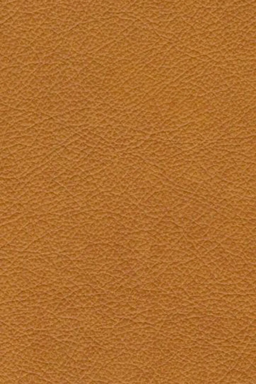 AL-Stuhl Eisen material_farbe