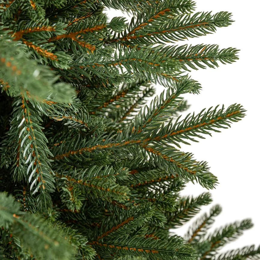 Zwergfichte M material_farbe