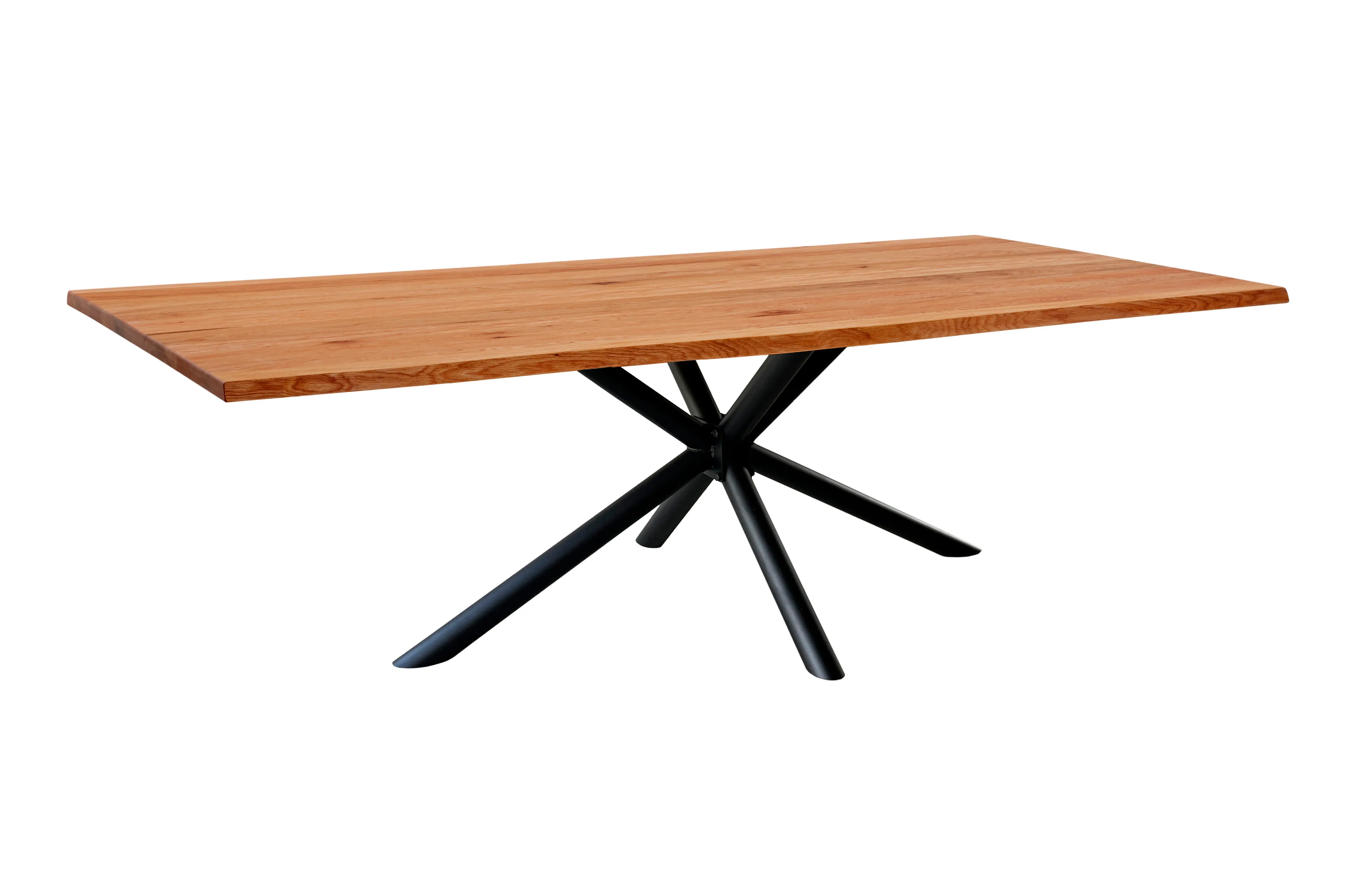 Esstisch Fresno 200 x 100 cm