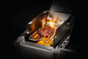 Grillwindschutz