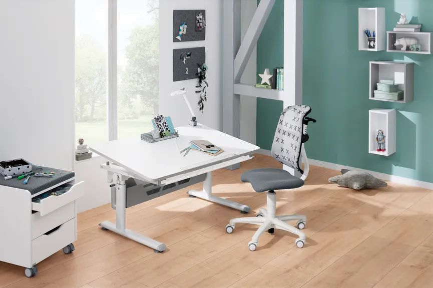 Schreibtisch Diego 120x70 cm milieu