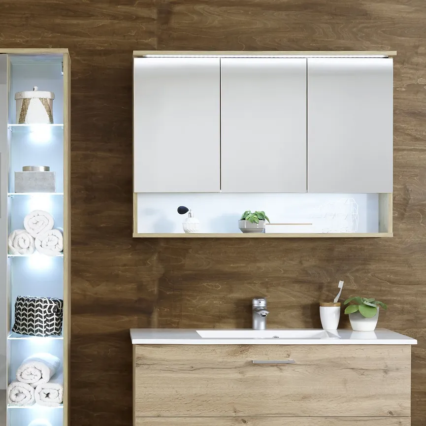 *Spiegelschrank milieu