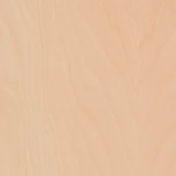 Birke material_farbe