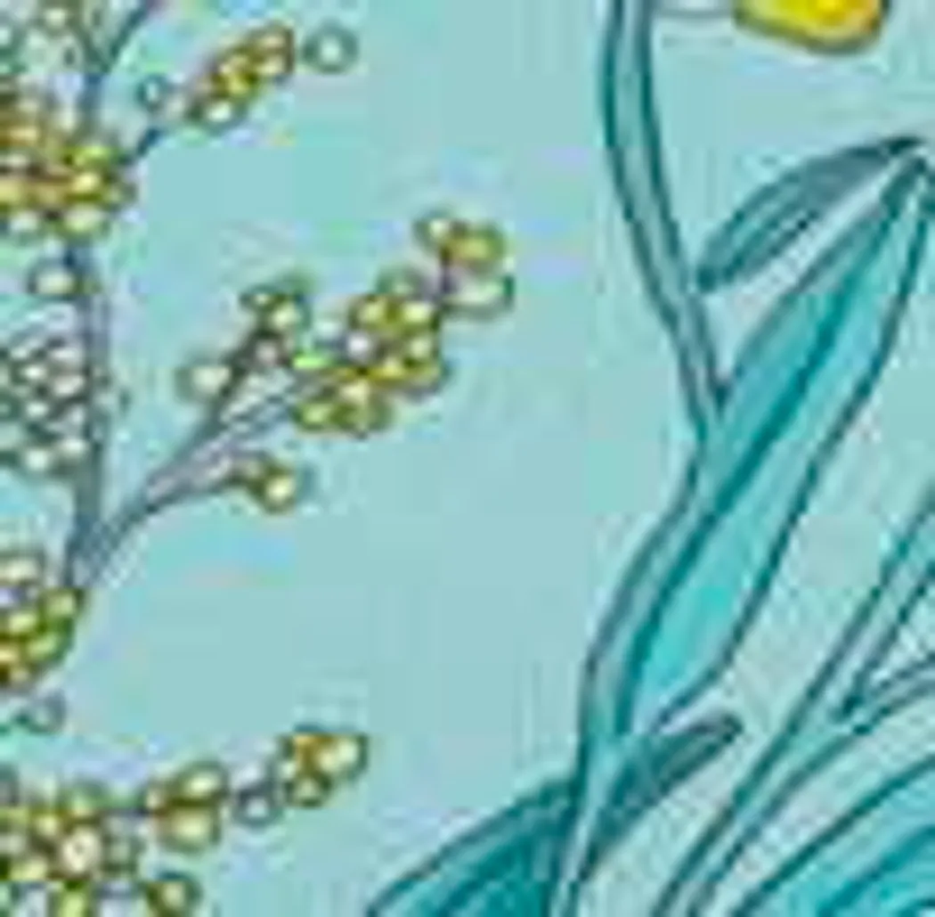material_farbe