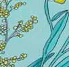 material_farbe