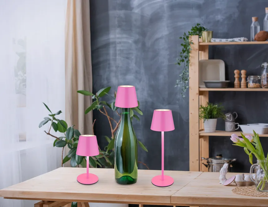 Akku-Tischleuchte "Vannie I" milieu