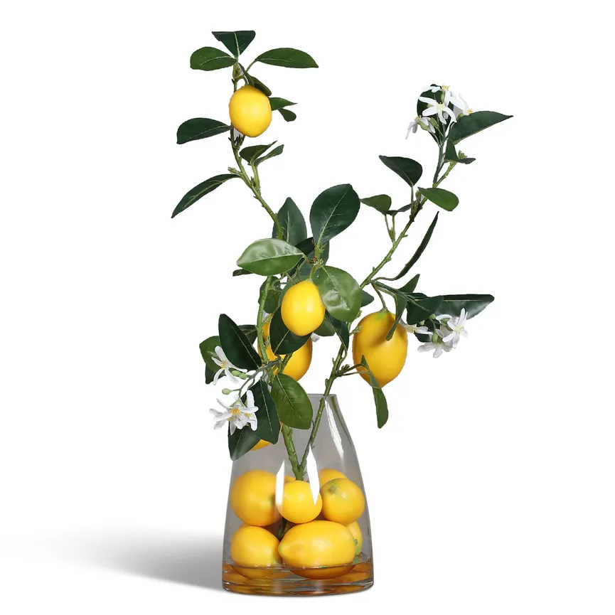 Premium Zitronen-Arrangement hauptaufnahme