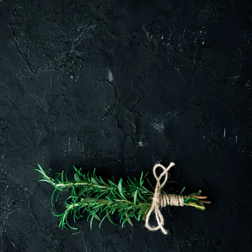 Küche / Kräuter - Rosemary I hauptaufnahme