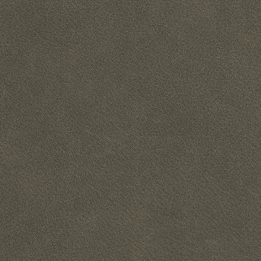 Poga RU V2A material_farbe