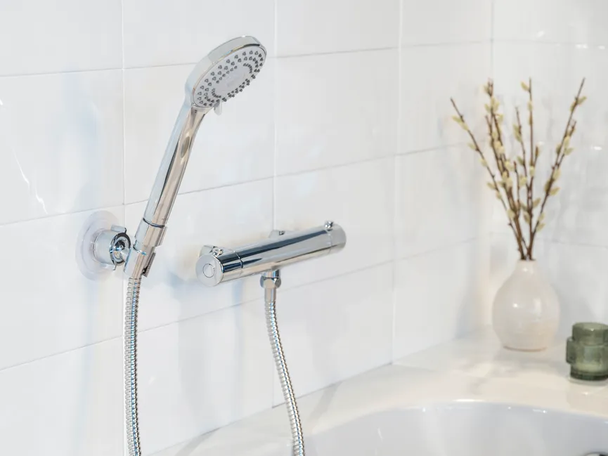 Duschkopf-Set Basic Line milieu