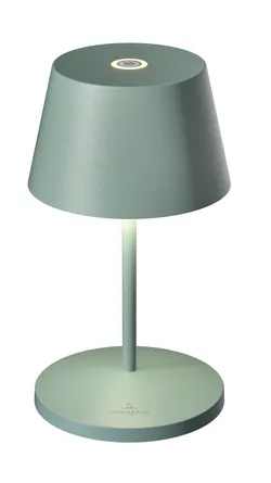 Olive material_farbe