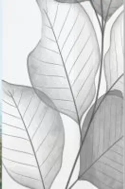 Grau material_farbe