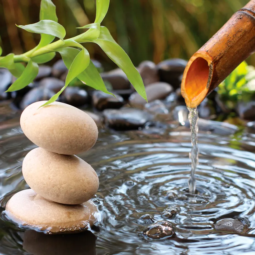 Zen - Zen Bamboo II hauptaufnahme