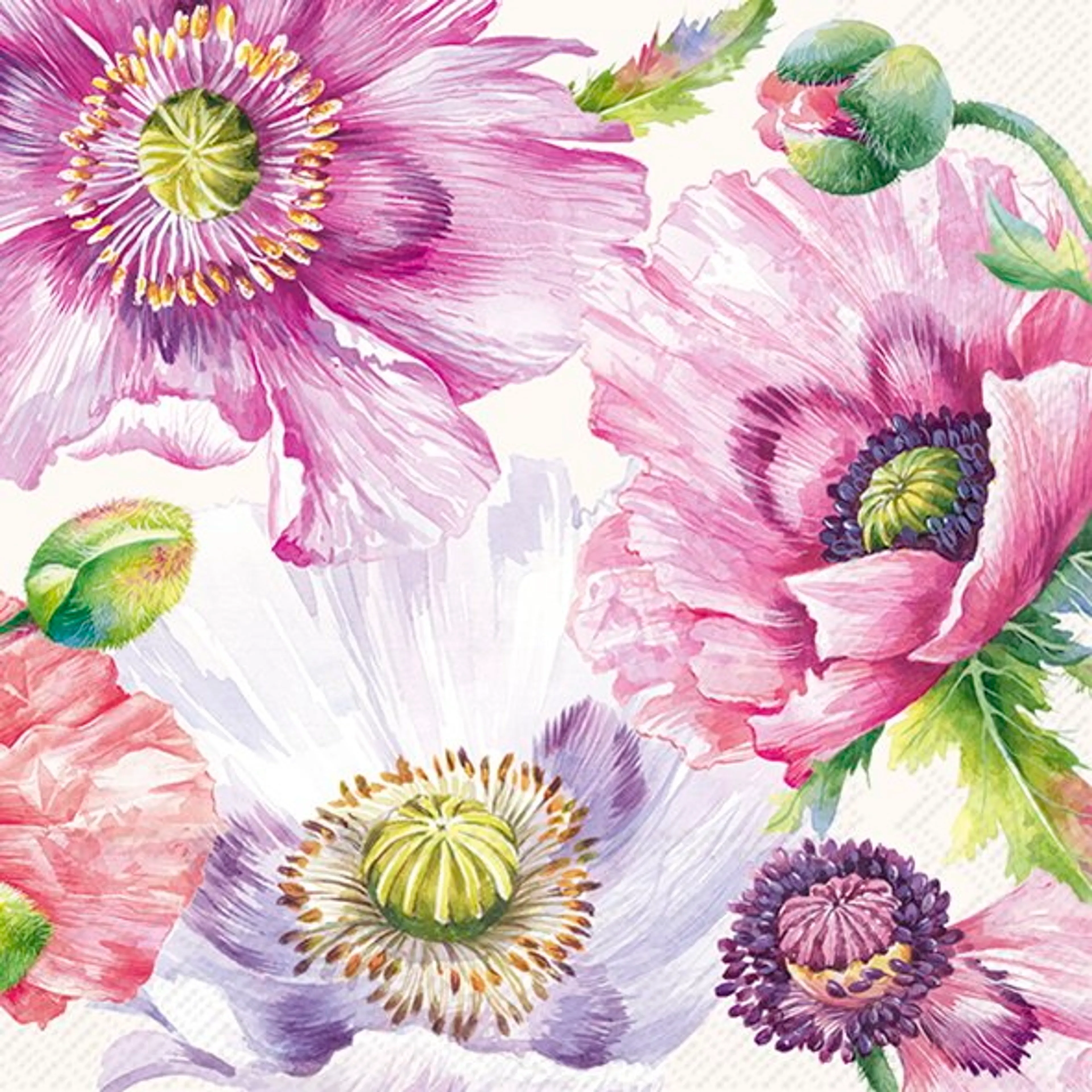 Serviette Graceful Poppy 20tlg.
