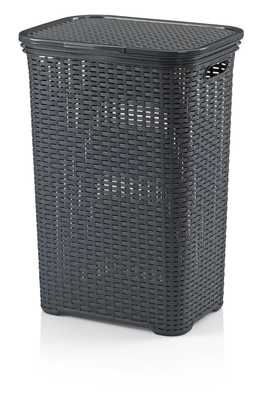Wäschebox Brasilia 60L hauptaufnahme