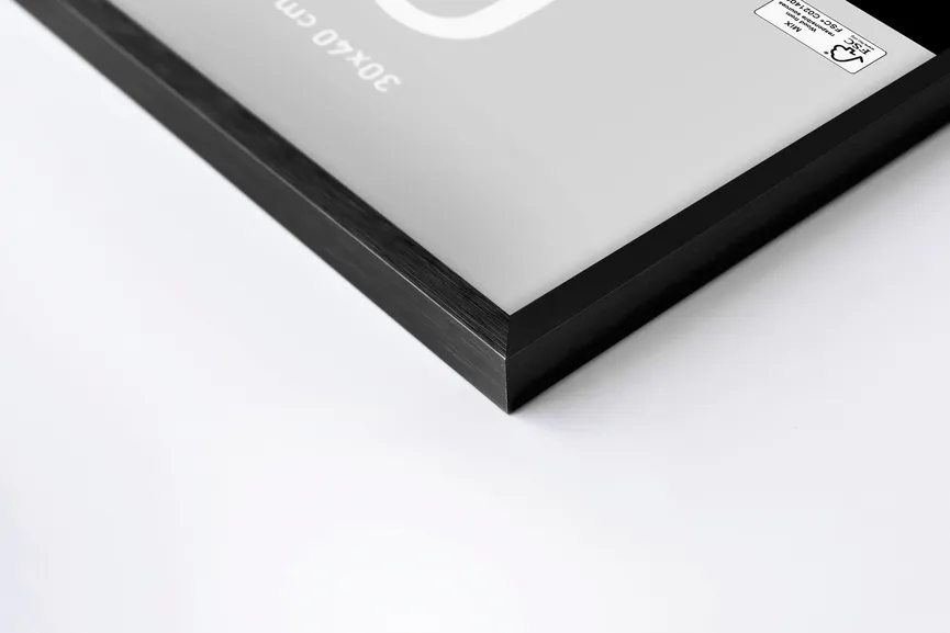 Rahmen C2 Str.Schwarz 59,4x84, detail
