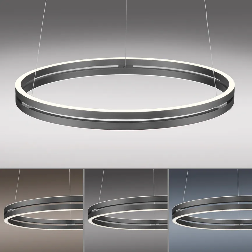 Pendelleuchte "PURE-E-Loop" detail