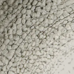 Stone material_farbe