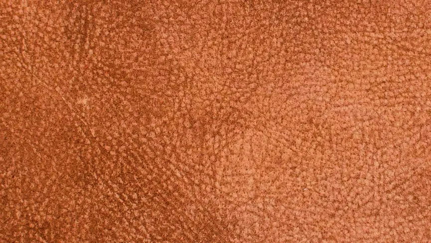 2,5-Sitzer E material_farbe