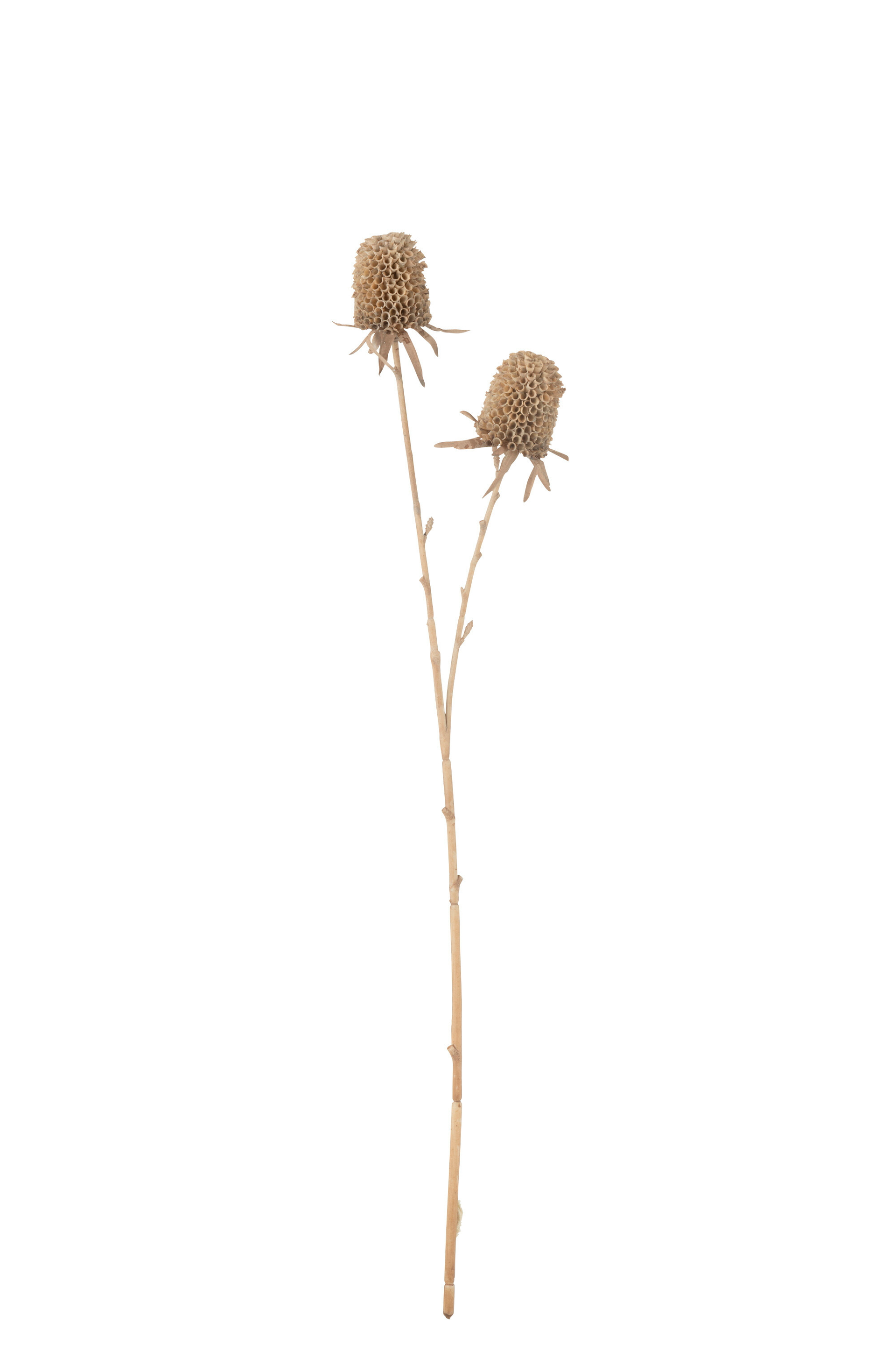 Kunstblume
