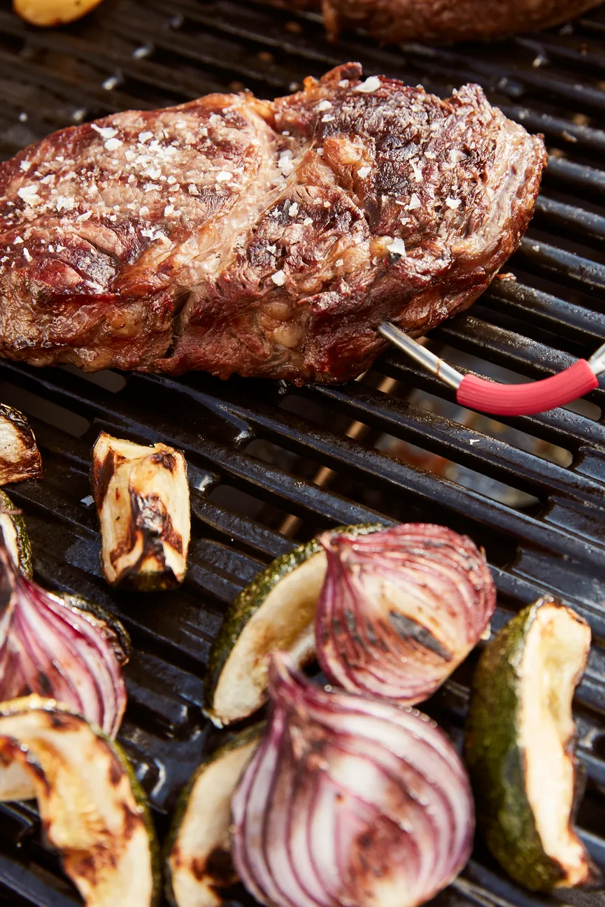 ** Weber iGrill Fühler detail