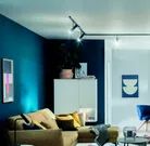 milieu