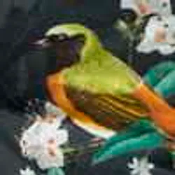 Gemustert material_farbe