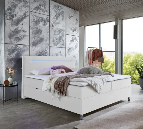 Boxbett