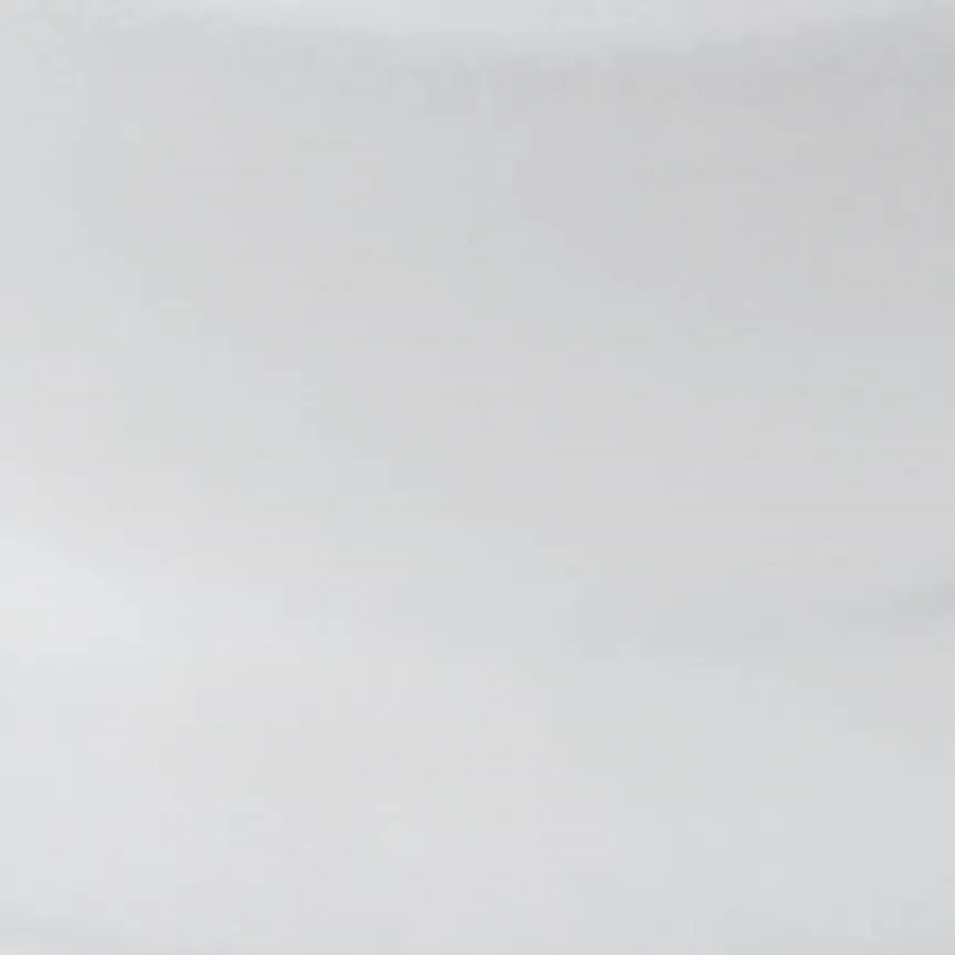 Sektverschluss "Gusto" klar material_farbe