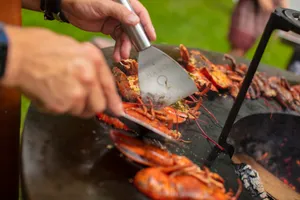 Grillspachtel