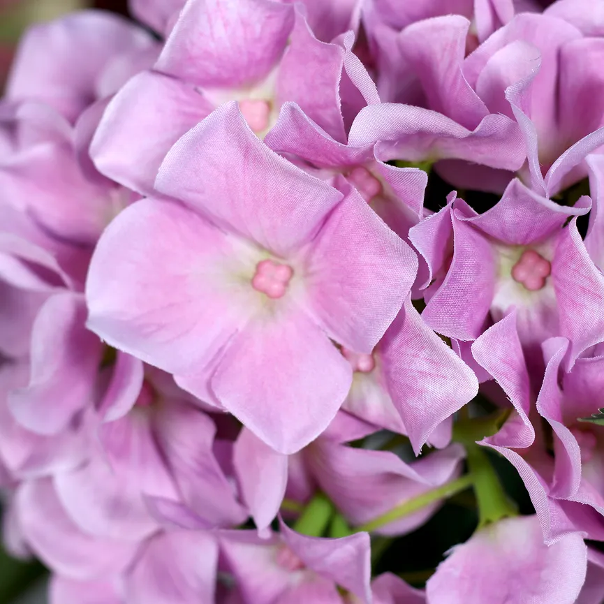 Premium Hortensien-Arrangement detail