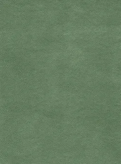 Grün material_farbe