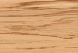 Kernbuche material_farbe