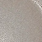 material_farbe