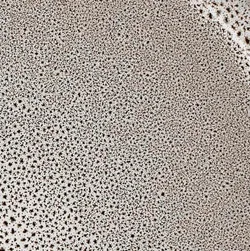 Grau material_farbe