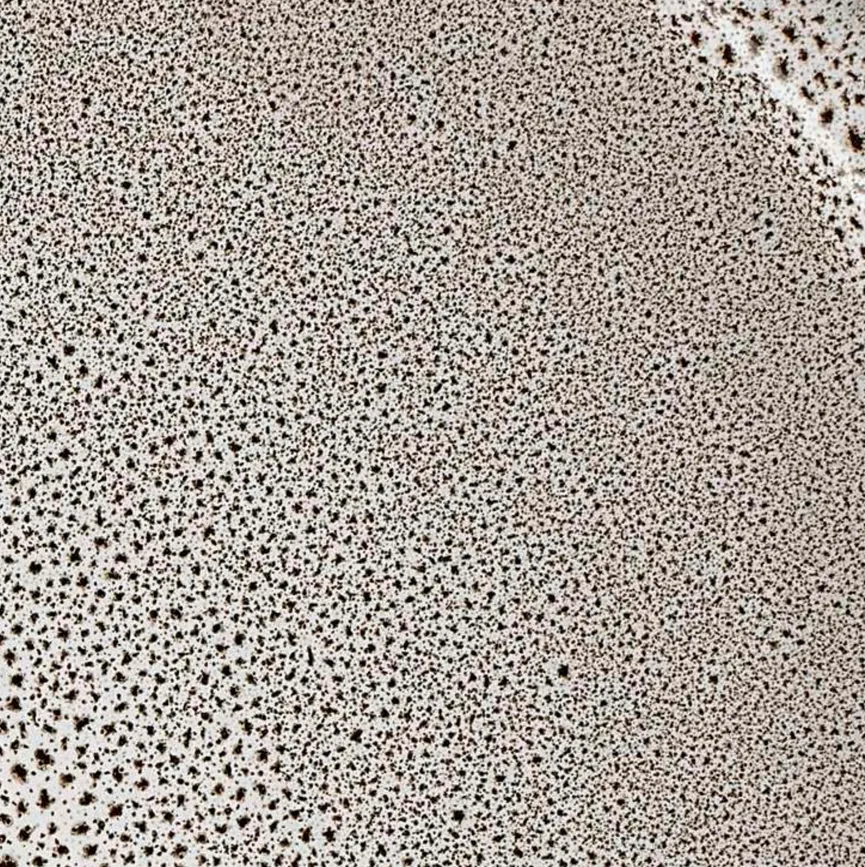Speiseteller "Visby" grau material_farbe