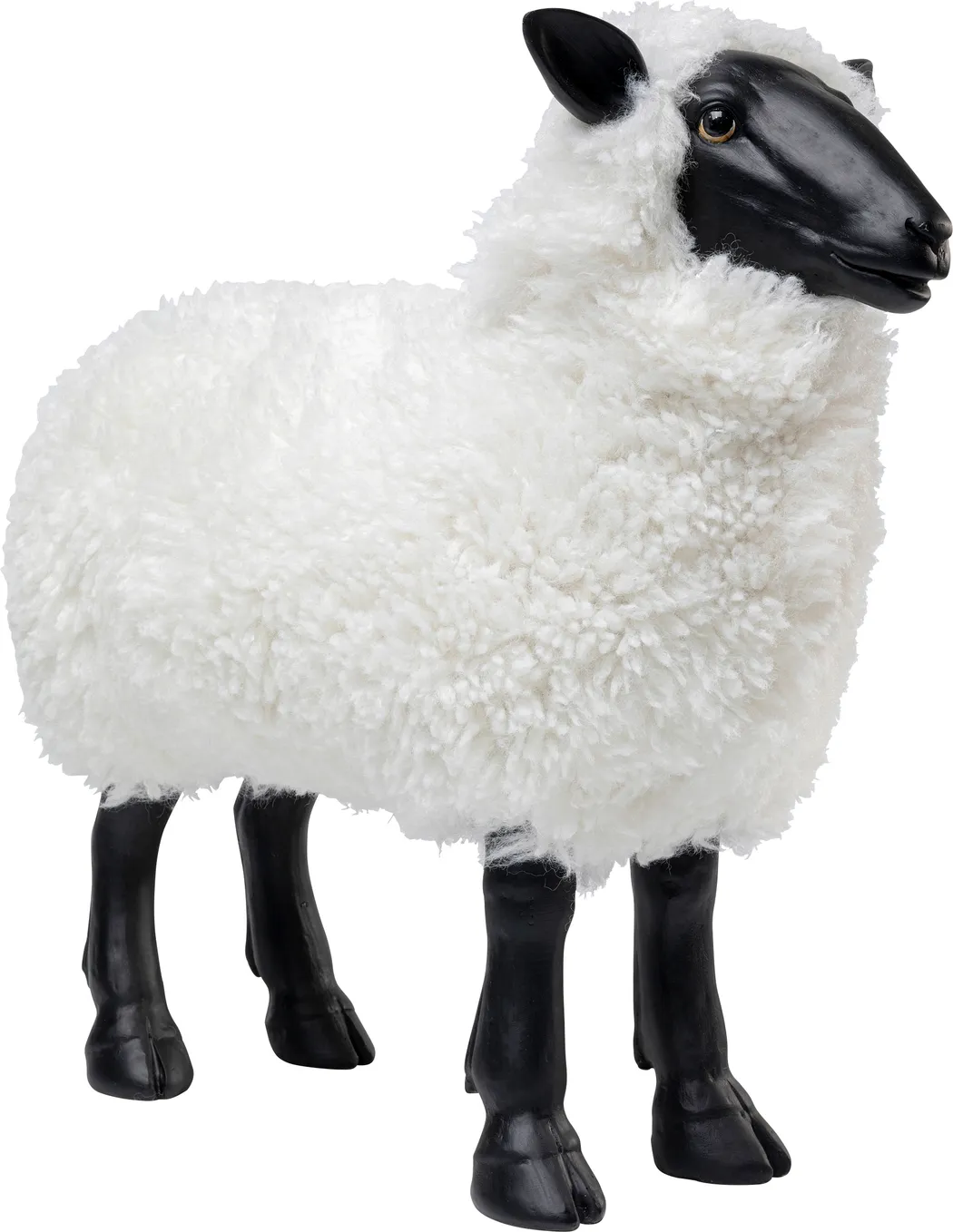 hauptaufnahme