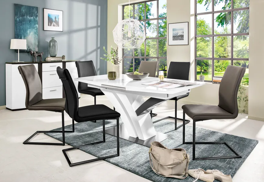 Schwinger 421 milieu