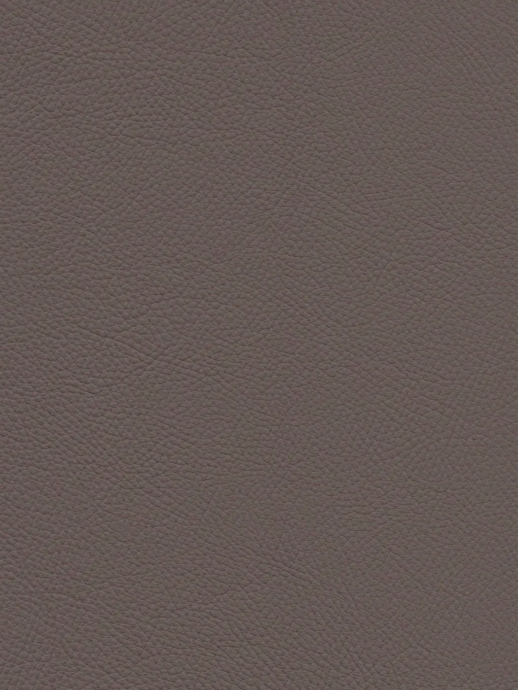 material_farbe